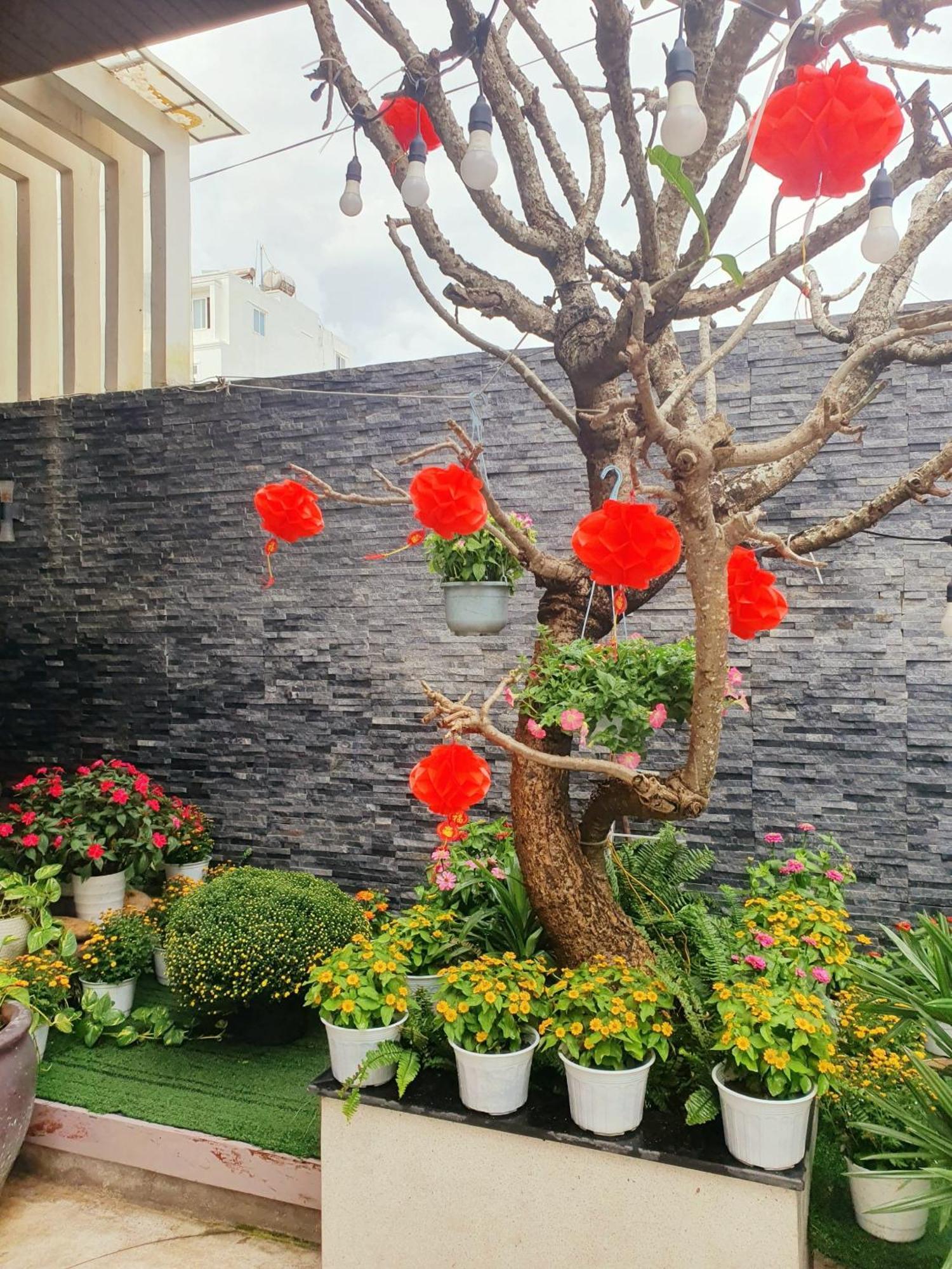 Animor Green Home Villa Đà Nẵng Kültér fotó